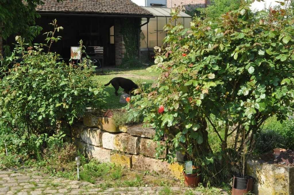 Breuberg Gaestezimmer - Fuhrhalterei Maul מראה חיצוני תמונה
