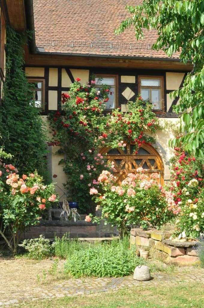 Breuberg Gaestezimmer - Fuhrhalterei Maul מראה חיצוני תמונה